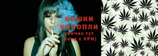 МДПВ Саяногорск