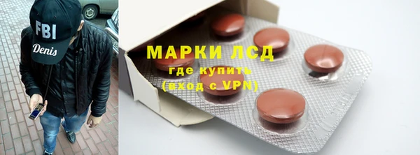 хмурый Сатка