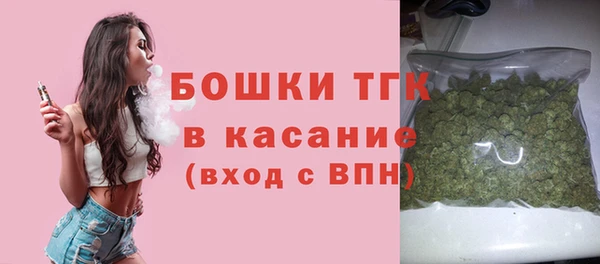 хмурый Сатка