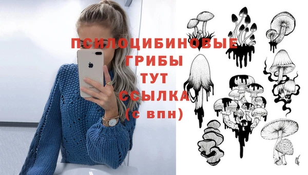 Альфа ПВП Абаза