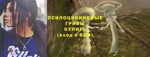 Альфа ПВП Абаза