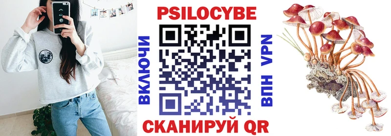 Псилоцибиновые грибы мицелий  omg онион  Ермолино  где купить наркоту 